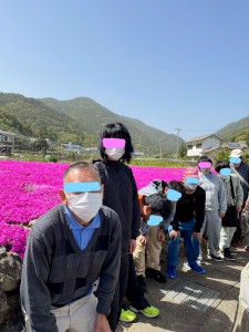 太田　芝桜　みんな